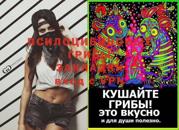 мяу мяу мука Кинешма