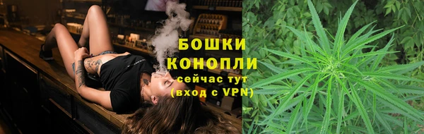 мяу мяу мука Кинешма