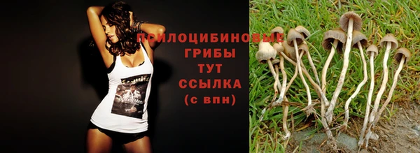 кокс Киреевск