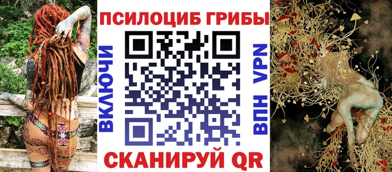 Псилоцибиновые грибы Psilocybine cubensis  купить наркоту  kraken зеркало  Кораблино 